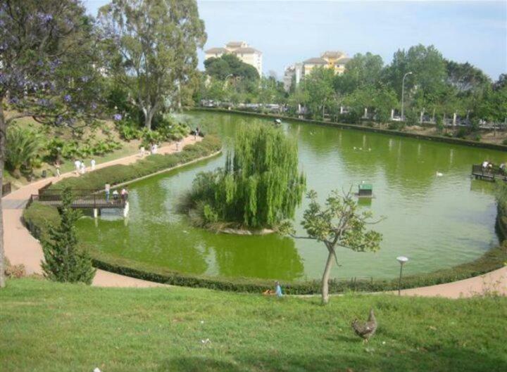 Estudio Sagitario Apartamento *